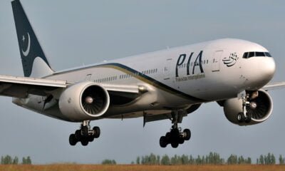 pia