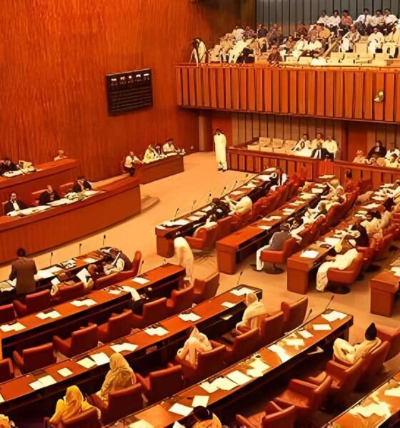 سینیٹ
