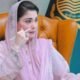 وزیراعلیٰ مریم نواز