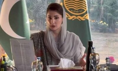 مریم نواز شریف