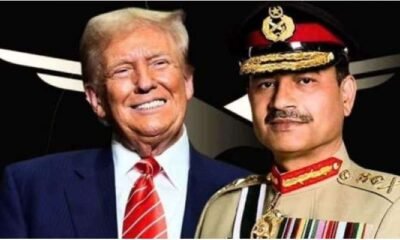 فیلڈ مارشل