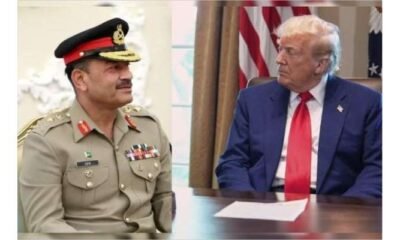 ٹرمپ