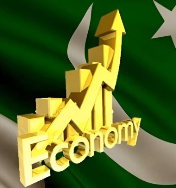 پاکستان عالمی سطح پر