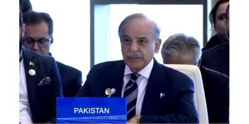 وزیراعظم شہباز شریف Pakistan Newspaper