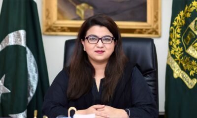 وزارت آئی ٹی