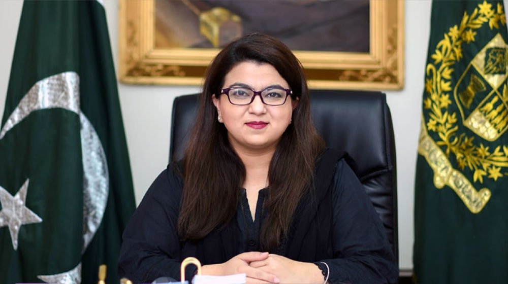 وزارت آئی ٹی