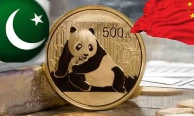 پاکستان کا پانڈا بانڈز کا اجرا، چین کے بینکوں کی مکمل حمایت