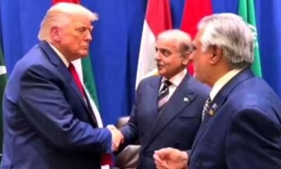 وزیراعظم شہباز شریف