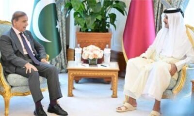 وزیراعظم شہباز شریف