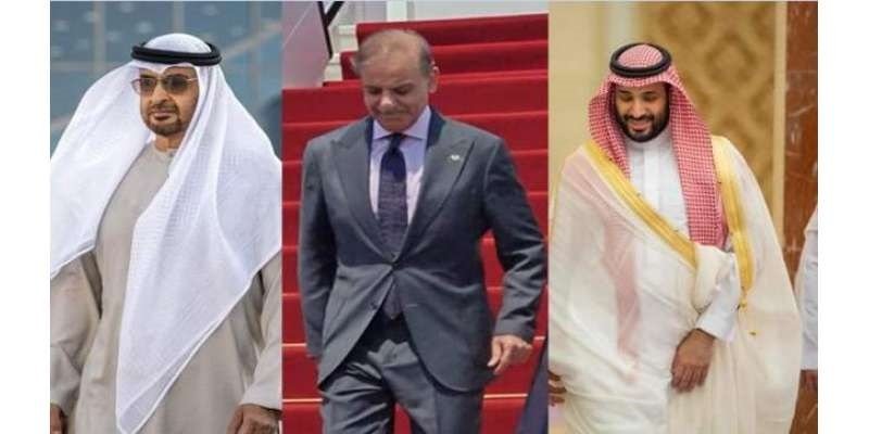وزیراعظم شہباز شریف