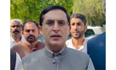 بیرسٹر گوہر