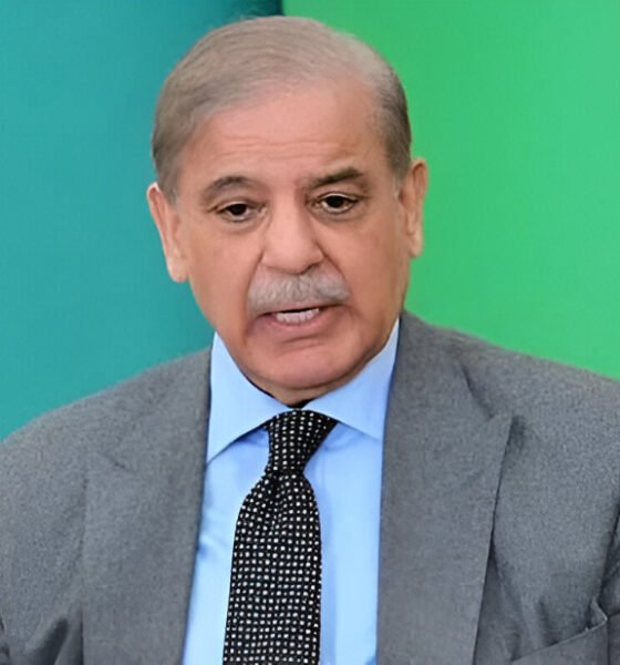 وزیراعظم شہباز شریف