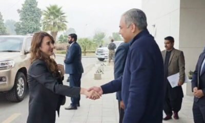 وزیر داخلہ محسن نقوی