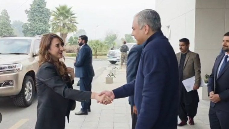 وزیر داخلہ محسن نقوی